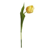 Tulipan, gul 29cm